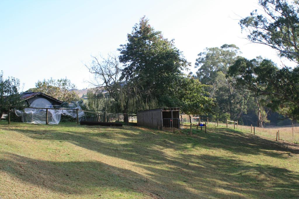 Strathmore Farm B&B Mirboo North Ngoại thất bức ảnh