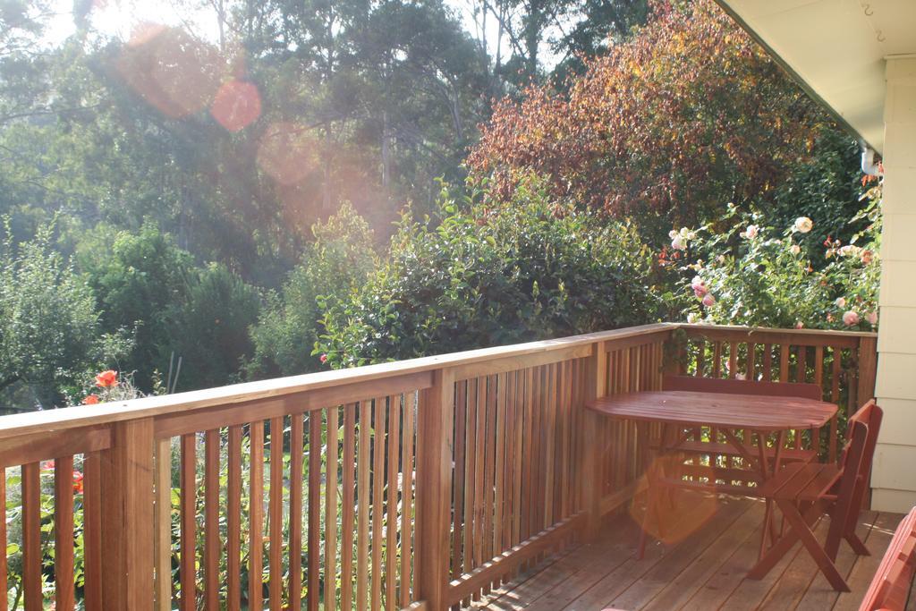 Strathmore Farm B&B Mirboo North Ngoại thất bức ảnh